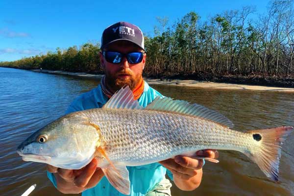 REDFISH